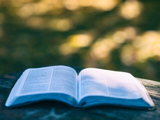 読書習慣ゼロだった私が本を好きになった理由
